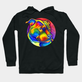 Psychedelic Rainbow Staffordshire Bull Terrier Dog Hoodie